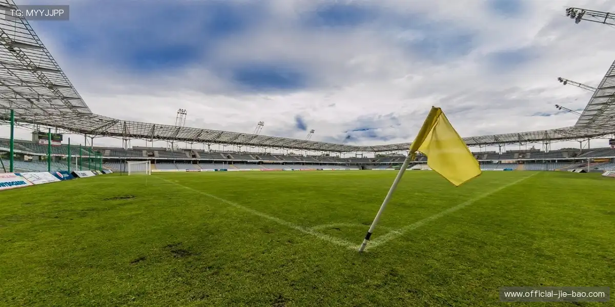 🏃‍♂️全速爆发，迎战更高的竞技浪潮！⚡